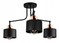 7efc25b742d4bcc3748fe11abedd.jpg